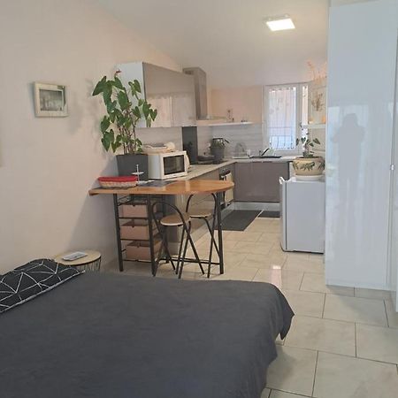 Appartamento Chez Sabine Et Pascal Meyzieu Esterno foto