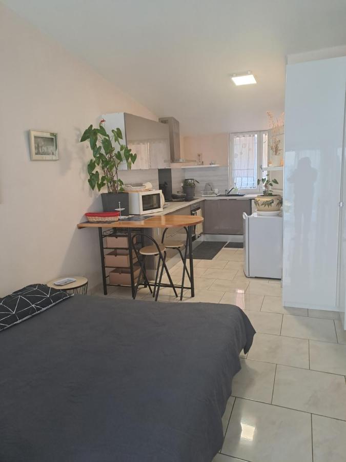 Appartamento Chez Sabine Et Pascal Meyzieu Esterno foto