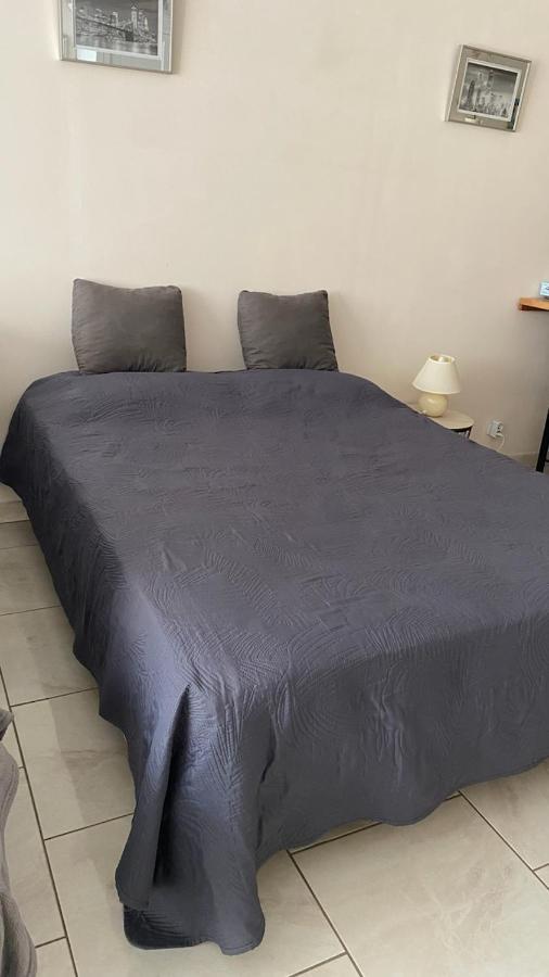 Appartamento Chez Sabine Et Pascal Meyzieu Esterno foto