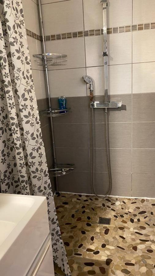 Appartamento Chez Sabine Et Pascal Meyzieu Esterno foto